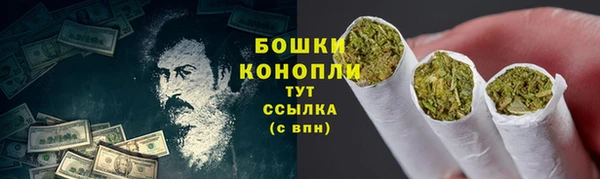 ПСИЛОЦИБИНОВЫЕ ГРИБЫ Алексеевка