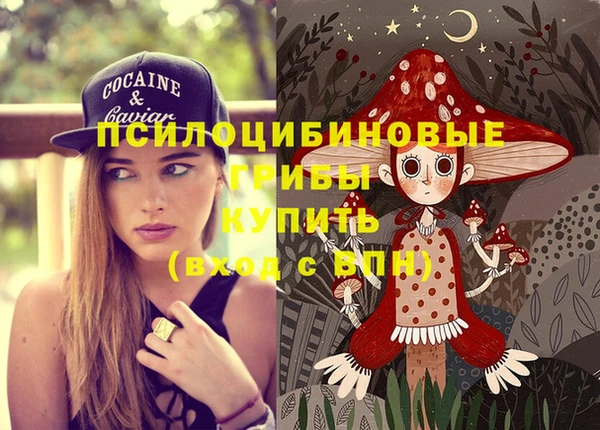 ПСИЛОЦИБИНОВЫЕ ГРИБЫ Алексеевка