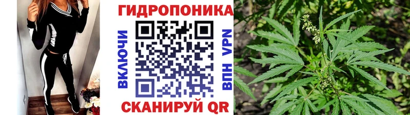 Бошки марихуана White Widow  наркошоп  Усолье-Сибирское 